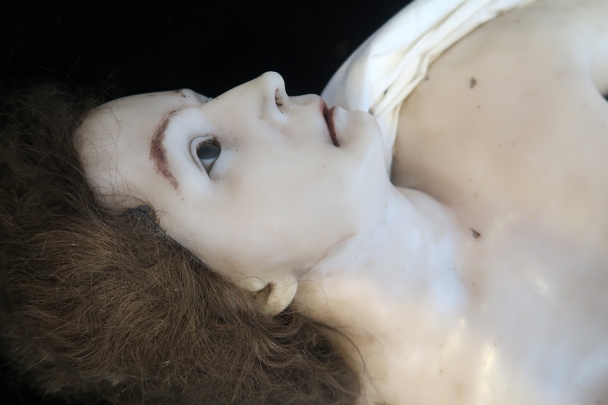 geneeskundemuseum brussel 8-2025 3168